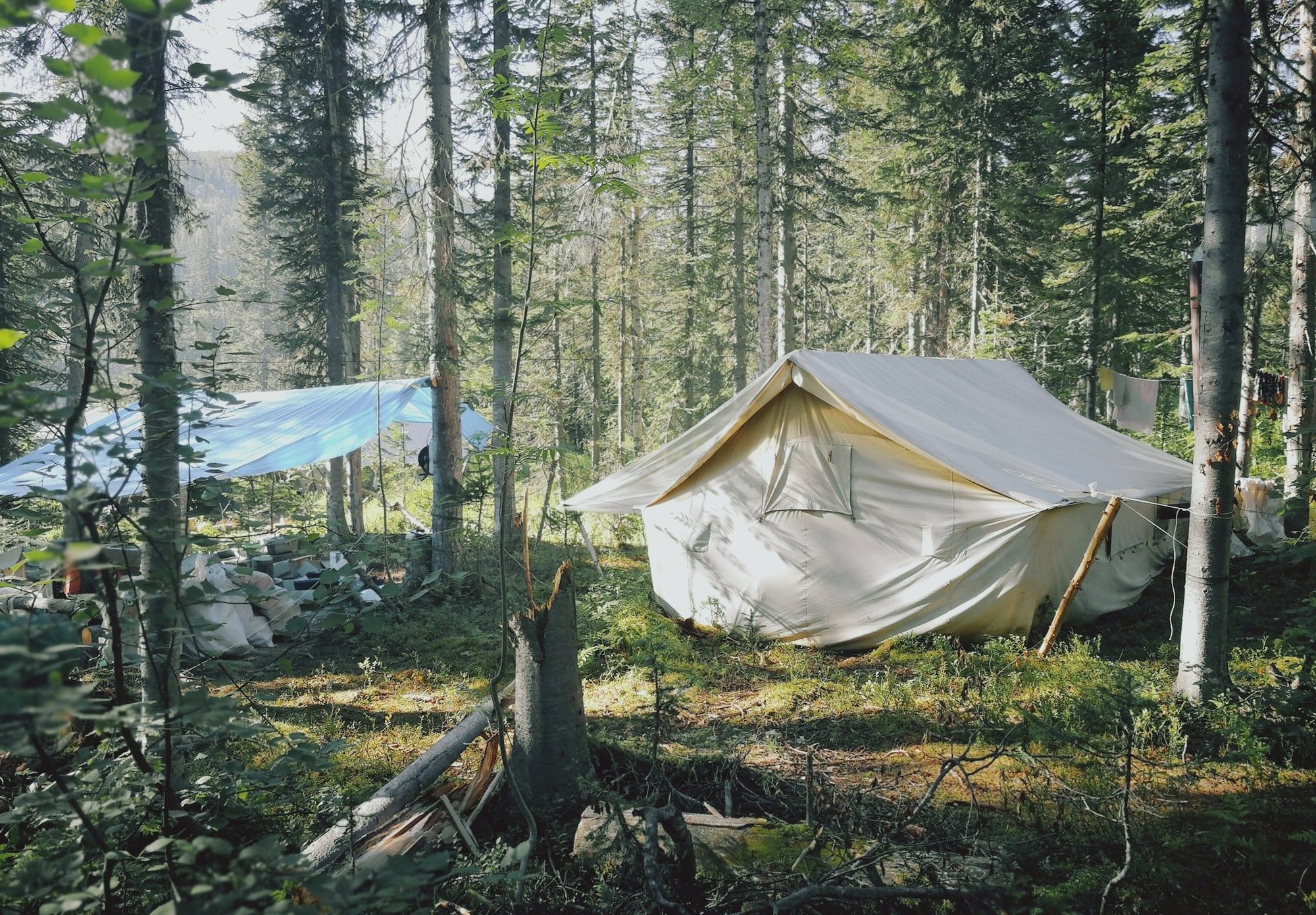Геологические палатки 